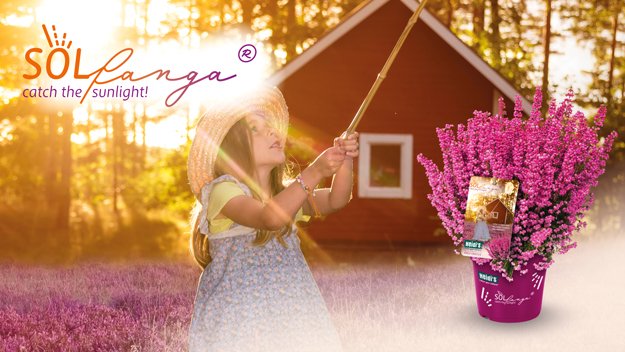 Keyvisual SOLfanga Keyvisual SOLfanga